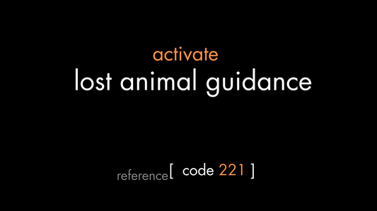 Lost Animal Guidance Code (PDF)