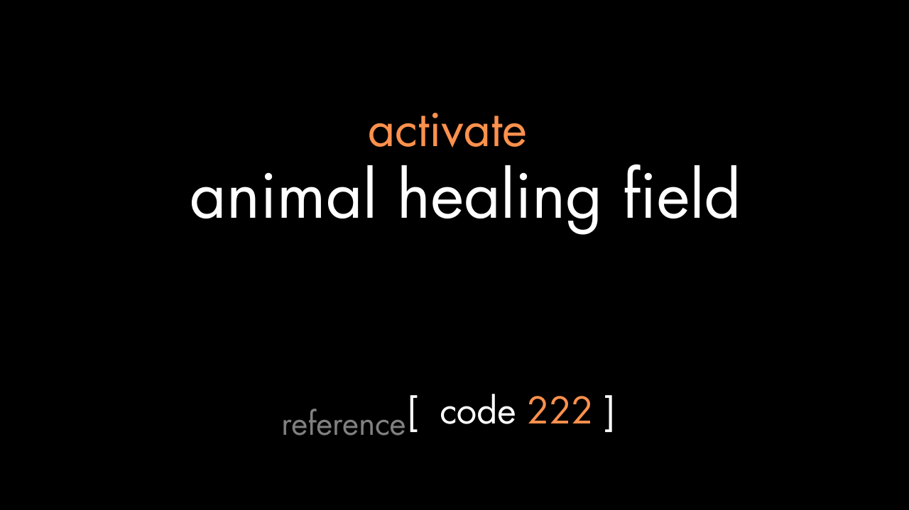 Animal Healing Field Code (PDF)