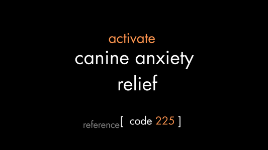 Canine Anxiety Relief Code (PDF)