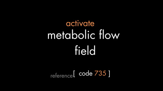Metabolic Flow Field Code (PDF)