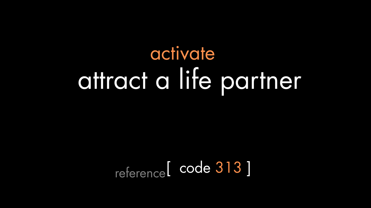 Attract a Life Partner Code (PDF)