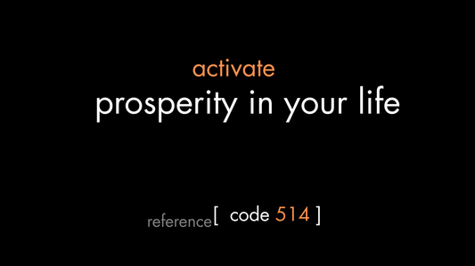 Prosperity in Your Life Code (PDF)