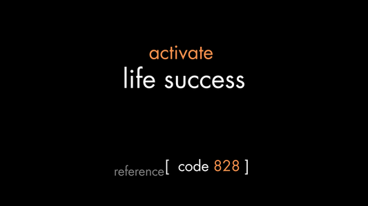 Life Success Code (PDF)